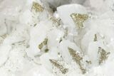 Sparkling Pyrite Crystals on Calcite - China #182498-3